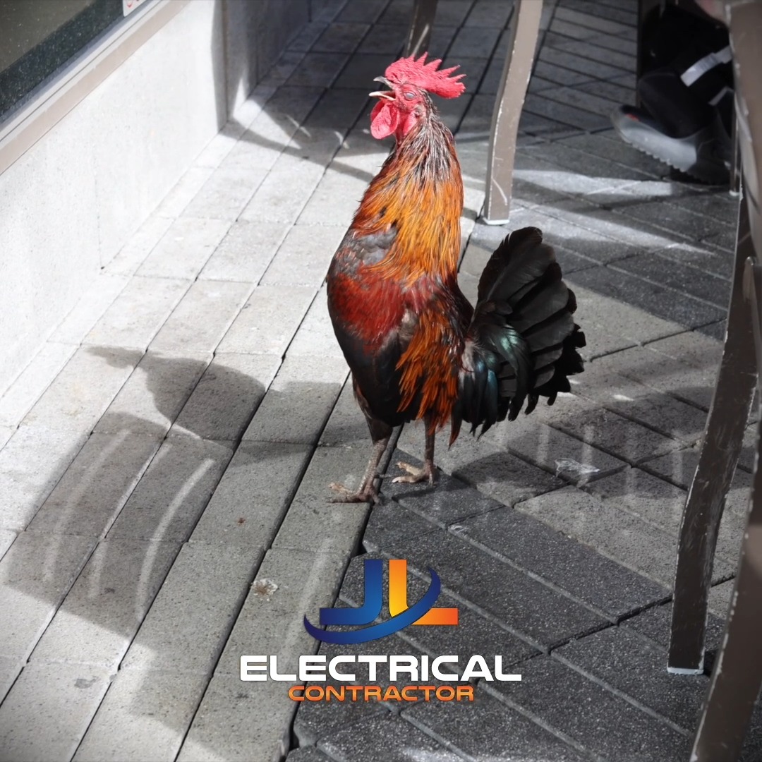 #jlelectricalservicecontractor
#electrical #electrician #electricalcontractor #electricalgear #electricalpanel #construction #constructionlife #altec #florida #kissimmee #orlando #fortmyers #fortmyersbeach #tampa #dunedin #clearwater #largo #indianshores #stpetebeach #saintpetersburg #pinellas #annamaria #holmesbeach #bradenton #bradentonbeach #cortez #longboatkey #sarasota